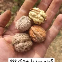 خشکبار|خوردنی و آشامیدنی|چمستان, |دیوار