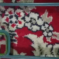 گارد گوشی تمیز و سالم|لوازم جانبی موبایل و تبلت|فلاورجان, |دیوار