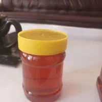 عسل چهل گیاه|خوردنی و آشامیدنی|شیراز, گویم|دیوار