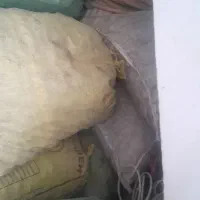 گردودرجه‌یک‌سمت‌بقمچ‌بلوارتوس‌۳۰۰کیلو|خوردنی و آشامیدنی|مشهد, امیرآباد|دیوار