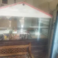 کانکس بله محلی بفرس می‌رسد