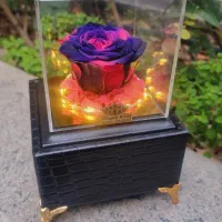باکس چرمی موزیکال گل رز جاودان اسپیناس رز کد ۹۳|گل و گیاه طبیعی|تهران, میدان ولیعصر|دیوار