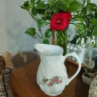 ظروف گل پنبه|ظروف سرو و پذیرایی|اهواز, اهواز|دیوار