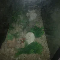 دکواریوم بزرگ همراه میز وسرپوش mdf