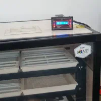 دستگاه جوجه کشی اسکندری|لوازم جانبی حیوانات|کردکوی, |دیوار