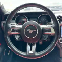 رنت  انواع  خودرو|خودرو اجارهای|کیش, |دیوار