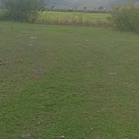 زمین کشاورزی|فروش زمین و ملک کلنگی|لوندویل, |دیوار