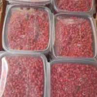 زرشک تازه دون شده هدایت ۴۵