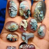 نگین های شجر هفت رنگ فردوس