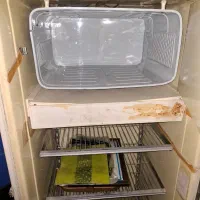 یخچال|یخچال و فریزر|بوشهر, |دیوار