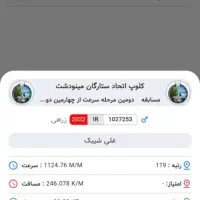 کبوتر زریی پلاکی نر جوستونی