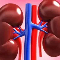 راهنمایی میکنم