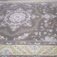قالی درحد نو