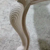 سندبلاست چوب سندبلاست مبلمان|خدمات پیشه و مهارت|ملایر, |دیوار