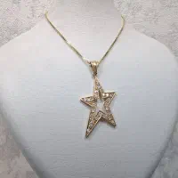 پلاک جهت سرمایه داری