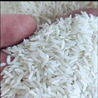برنج دانه بلندمحلی هاشمی معطر تازه امساله استانه