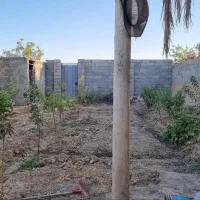 باغ-دیوار-دار-زازران