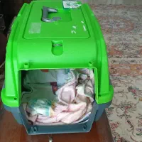 باکس سگ شماره ۳
