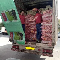 کاویان مسقف مدل ۸۹|خودرو سنگین|تربت‌حیدریه, باغ سلطانی|دیوار