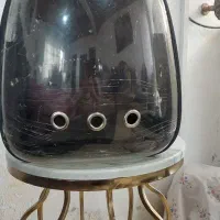 کیف گربه (cat bag)