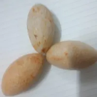 مهره ها وسنگ زینتی|بدلیجات|امیدیه, |دیوار
