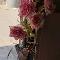 استند قابلمه  گل گلدان  بطری اب طرح دمبل|صنایع دستی و سایر لوازم تزئینی|اصفهان, شیخ طوسی|دیوار