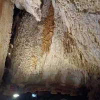 نیازمند همراه برای تمرین زبان انگلیسی