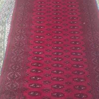 کناره دستباف ترکمن|فرش|پاکدشت, حصار امیر|دیوار