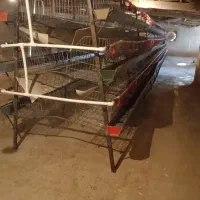 قفس منبری سر قفس مرغ تخم گذار