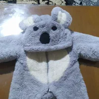 کاپشن تدی کوالا