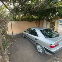 زانتیا۸۴بی رنگ