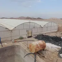 فروش گلخانه مدرن و مجهز در تفت با سند تک‌برگ|فروش دفتر صنعتی، کشاورزی، تجاری|یزد, |دیوار