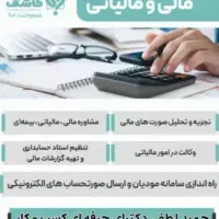 ارایه خدمات حسابداری و مالیاتی