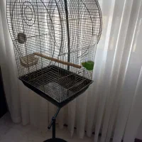 قفس استیل طلایی رنگ ارتفاع ۶۰ عرض