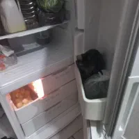 یخچال اسنوا دودرب|یخچال و فریزر|مریوان, |دیوار