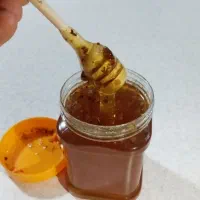 عسل کوهی صخره وحشی 100 درصد درمانی