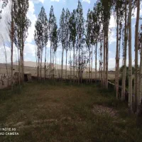 فروش‌خانه‌باغ
