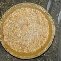 ذرت معاوضه میکنم با کبوتر