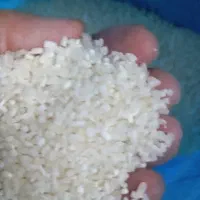 برنج نیم دانه عنبر بوشمالی لیزرشده قیمت عمده وتکی|خوردنی و آشامیدنی|شادگان, |دیوار