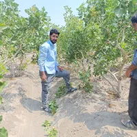 خدمات کشاورزی داریوش|خدمات باغبانی و درختکاری|گوگان, |دیوار