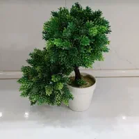 گل مصنوعی و گلدان|گل مصنوعی|تربتحیدریه, کاشانی|دیوار