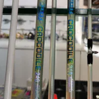 چوب ماهیگیری|ماهیگیری|مشهد, آزادشهر|دیوار