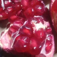 انار درجه یک کاشمر کیلو ۱۰۰تومان|خوردنی و آشامیدنی|نیشابور, شهید جعفری|دیوار