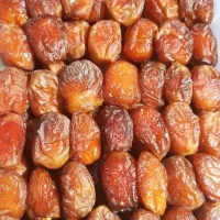 خرما مرداسنگ جنوب
