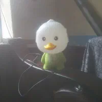 چراغ خواب کیتی