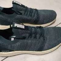 کتونی اورجینال پوما (PUMA)|کیف، کفش، کمربند|تهران, کوی بیمه|دیوار