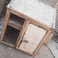 یک عددکلبه دو تبقه چوبی|لوازم جانبی حیوانات|رفسنجان, |دیوار