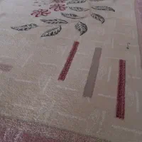 قالی کوچک|فرش|مشهد, شهید رضوی|دیوار