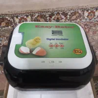دستگاه جوجه کشی ۱۲ عددی