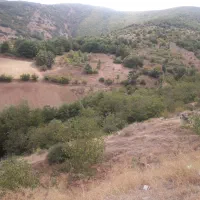 دوربین فیلمبرداری وعکاسی